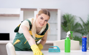 domestic cleaning service in didot, oxfordshire
